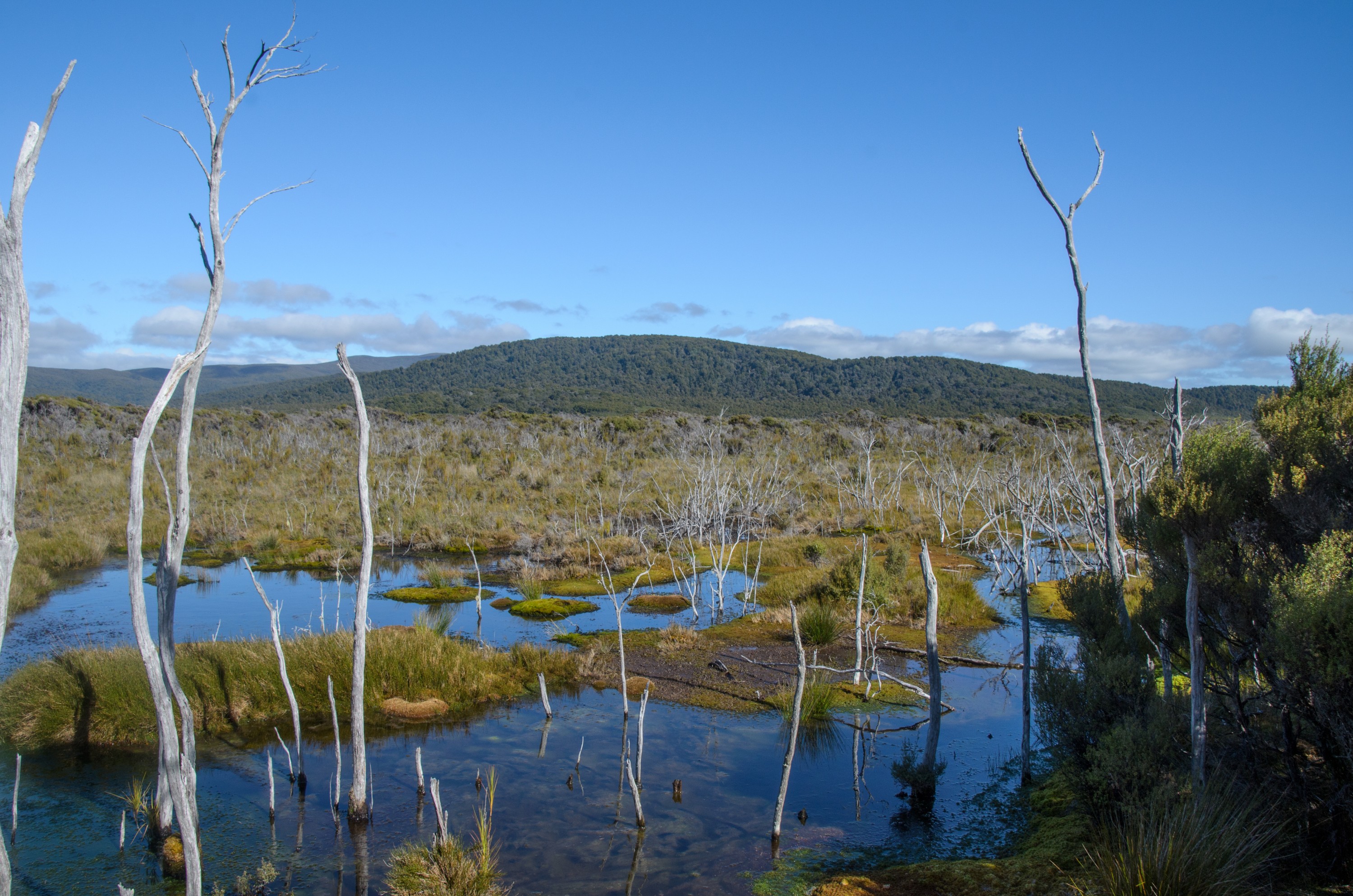 DSC_2172 – Adventure, Crispin, Freshwater, Freshwater Hut, Hut, Island, March 2017, Mason, Mason Bay, Mason Bay to Freshwater, National Park, New, New Zealand, Rakiura, South, Stewart, Zealand